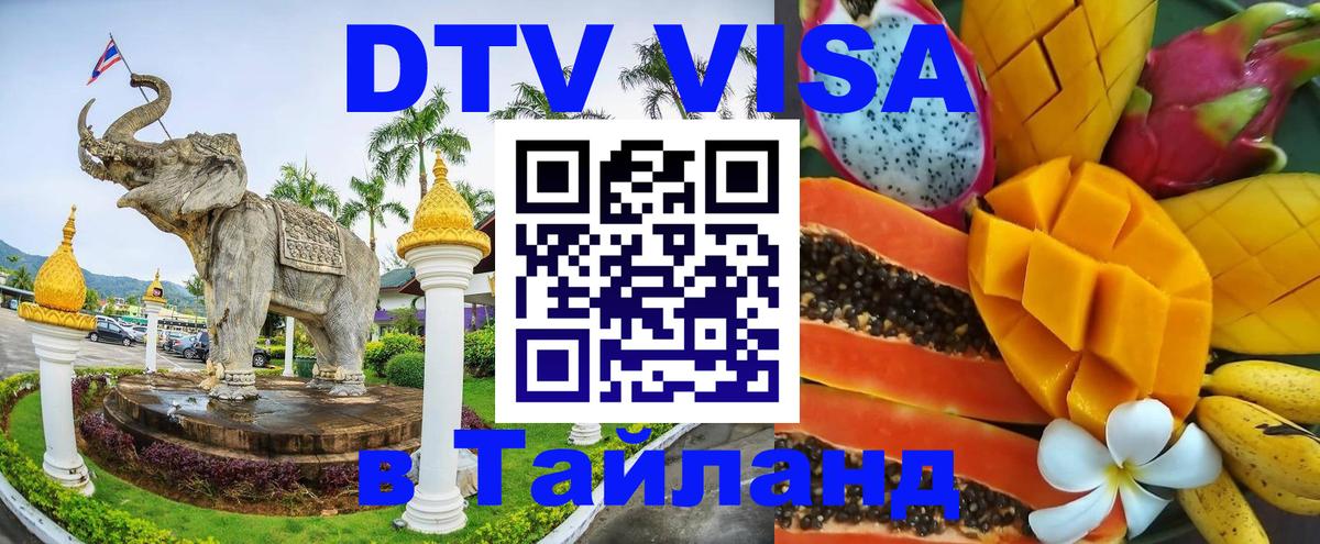 Сколько стоит DTV виза — актуальные цены, оформление даже без документов - Дамаск  04.10.2025 